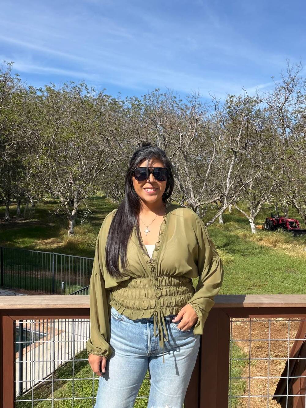 NEW WINSLOW COLLECTION sheer blouse in olive
